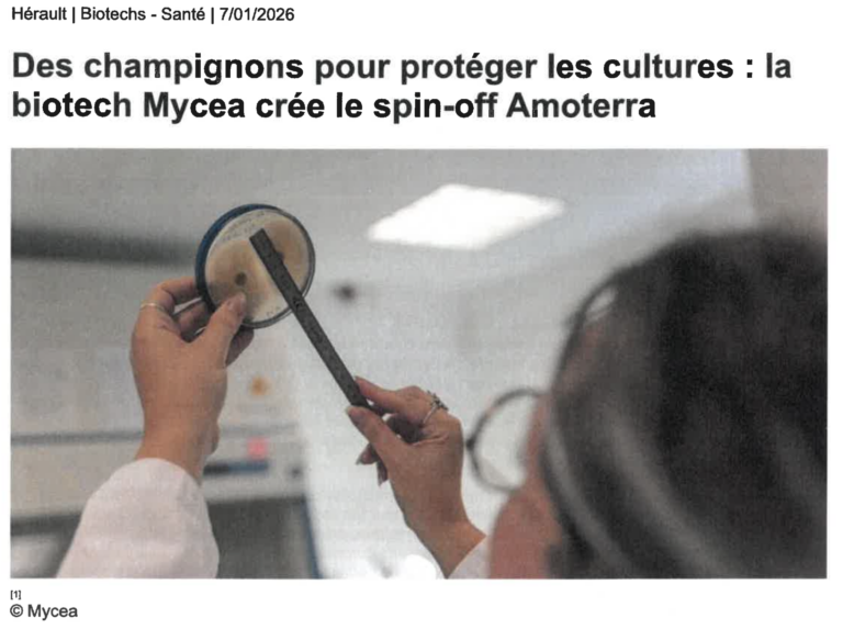 Mycea-in-the-Press
